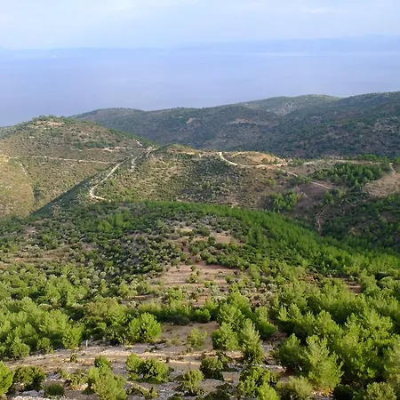 Ladanos Thassos Kallirakhi