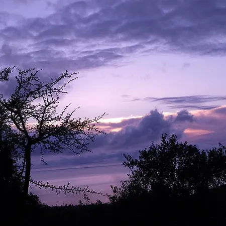 Ladanos Thassos Kallirákhi