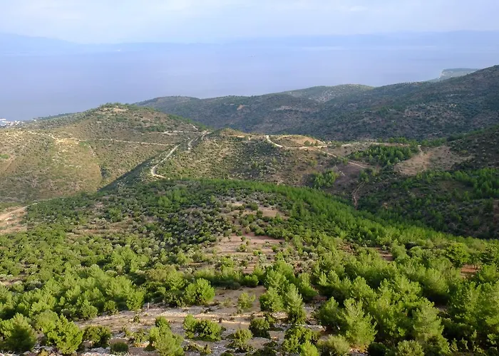 Ladanos Thassos Kallirakhi